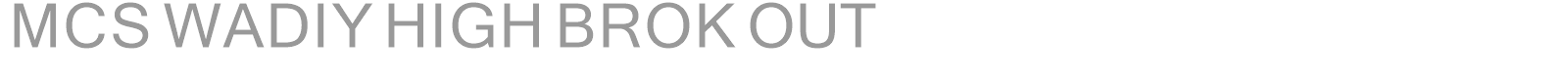 MCS WADIY HIGH BROK OUT font preview